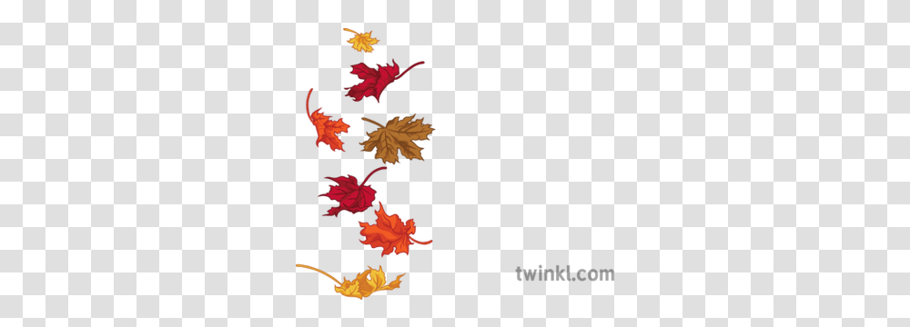 Falling Autumn Leaves General Nature Seasons Secondary Illustration, Leaf, Plant, Tree, Art Transparent Png