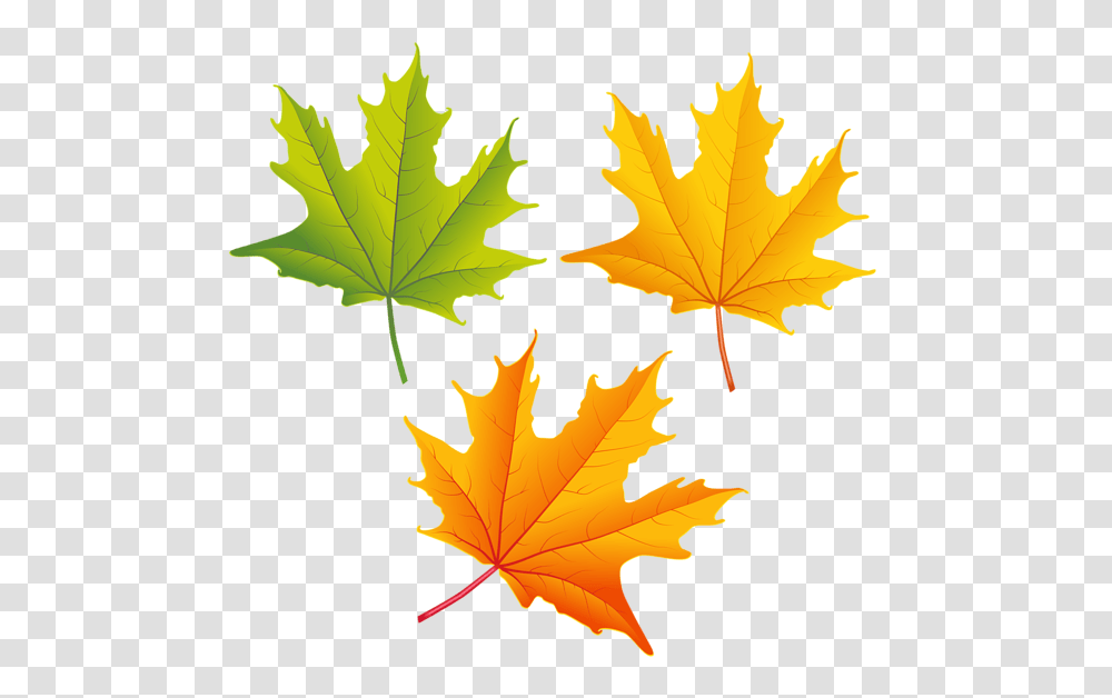Falling Autumn Leaves High Quality Image Arts, Leaf, Plant, Tree, Maple Transparent Png