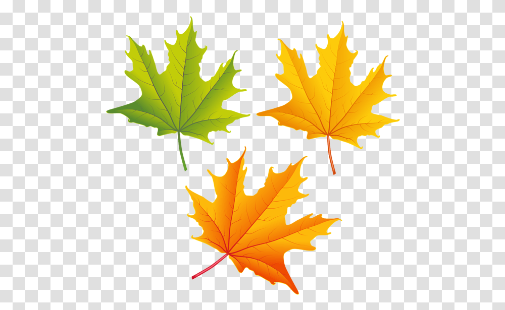 Falling Autumn Leaves High Quality Image Fall Leaves Free Clip Art, Leaf, Plant, Tree, Maple Transparent Png