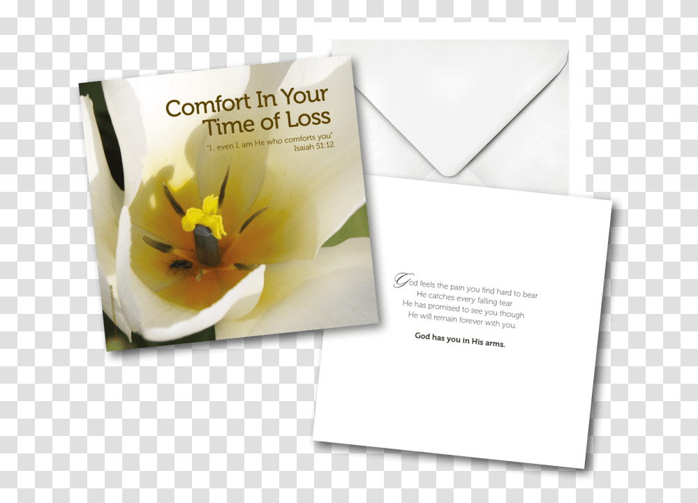Falling Cards Cattleya, Envelope, Mail, Greeting Card, Paper Transparent Png