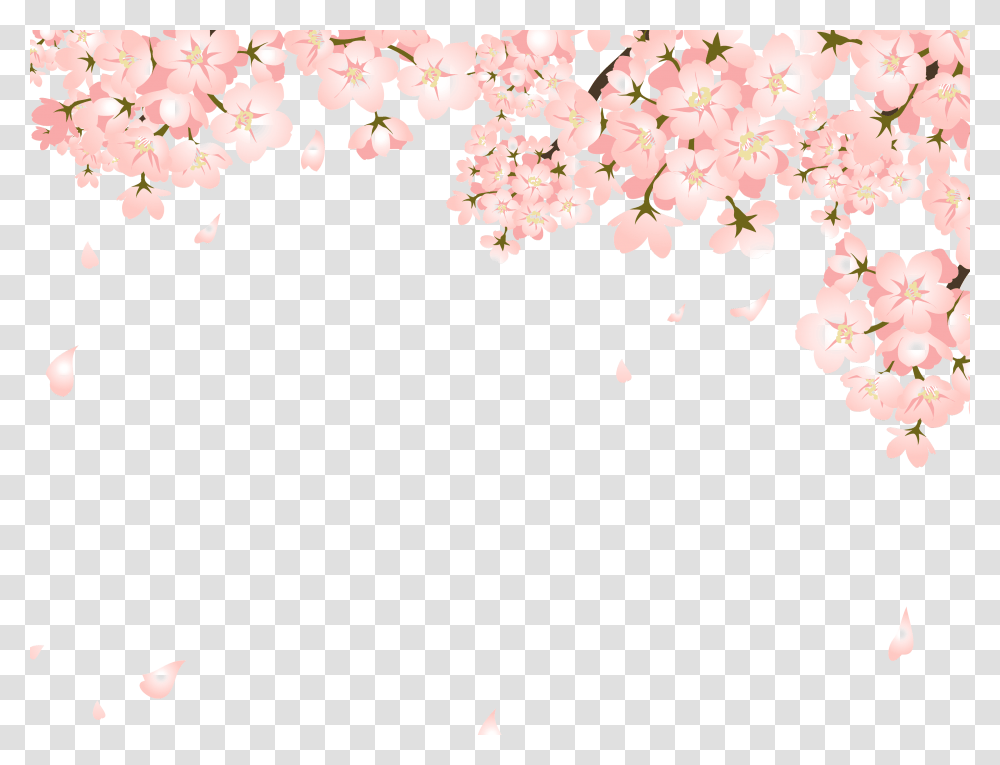 Falling Cherry Blossom, Plant, Flower, Petal, Spring Transparent Png