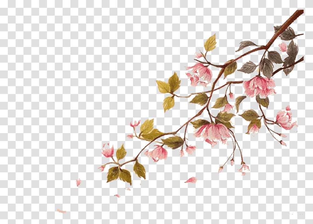 Falling Cherry Blossoms Cherry Blossom Branch Watercolor, Plant, Flower, Acanthaceae Transparent Png
