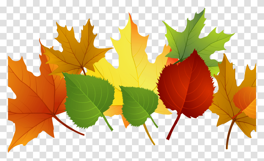 Falling Clipart Autumn Leaf Autumn Leaves Clipart, Plant, Tree, Maple Leaf, Green Transparent Png