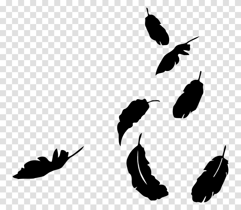 Falling Feathers, Gray, World Of Warcraft Transparent Png