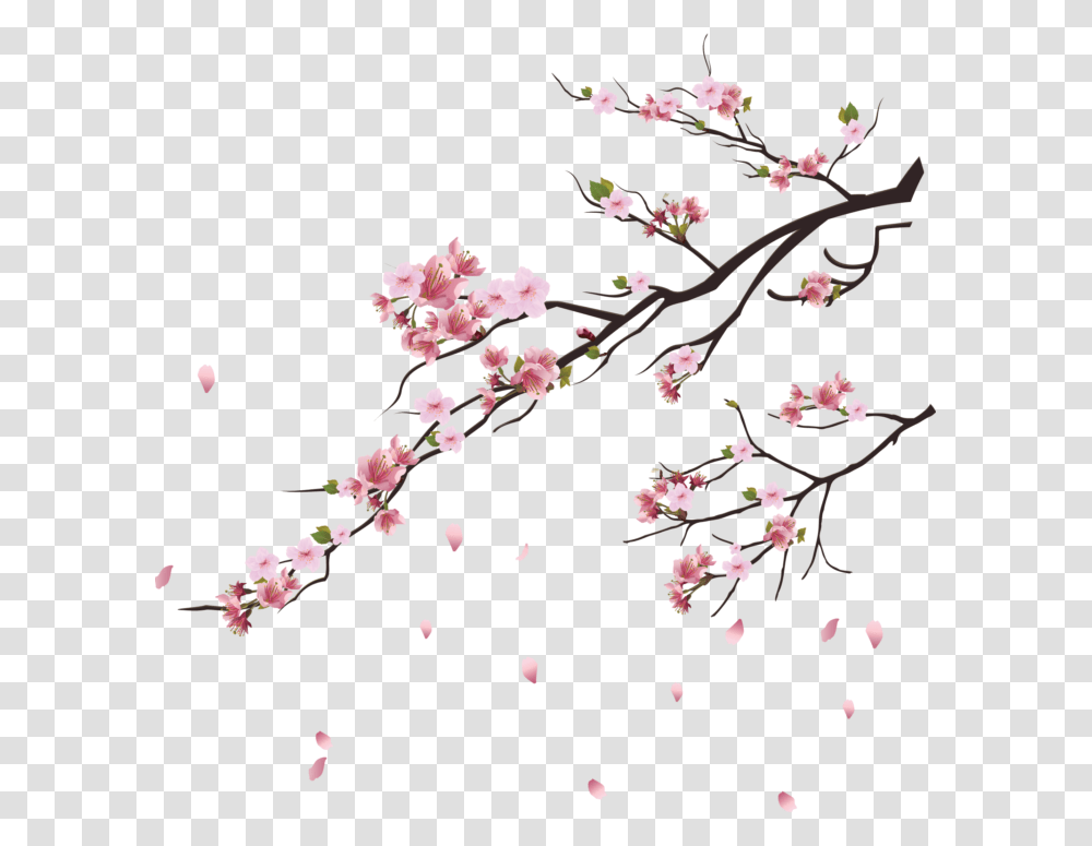 Falling Flowers Petal Image Free Searchpng Cherry Blossom Tree, Plant Transparent Png
