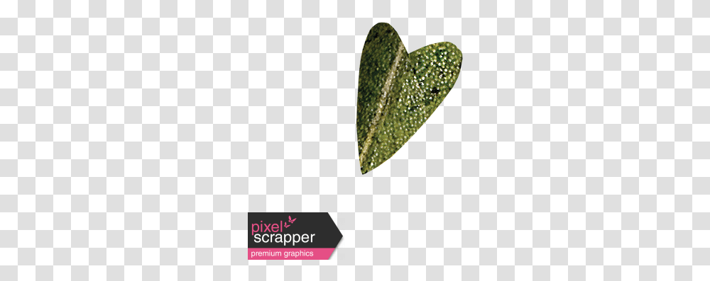 Falling For You Green Leaf Heart 3 Graphic By Janet Scott Heart, Plant, Annonaceae, Tree, Droplet Transparent Png