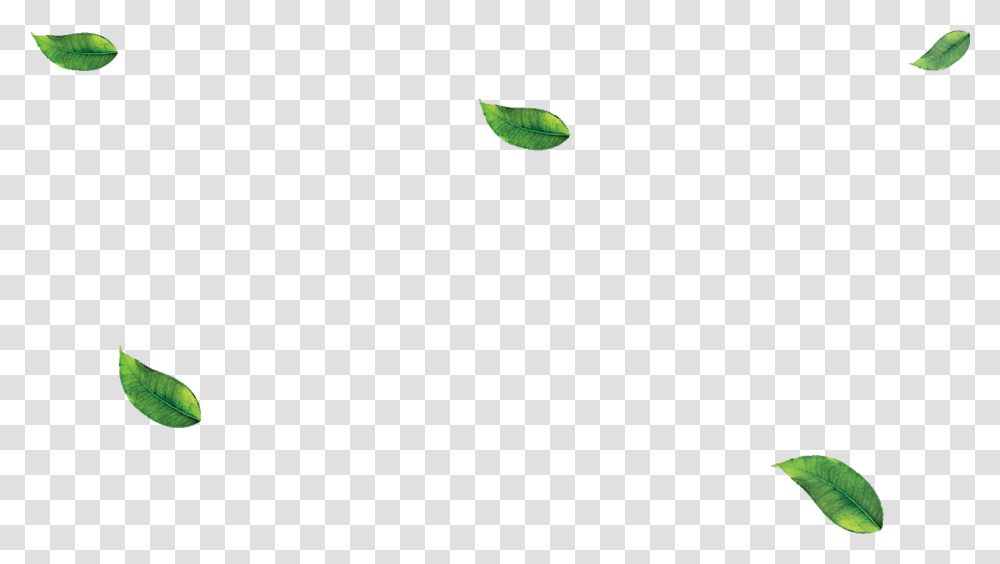 Falling Green Leaves Green Leaves, Outdoors, Nature, Astronomy, Outer Space Transparent Png