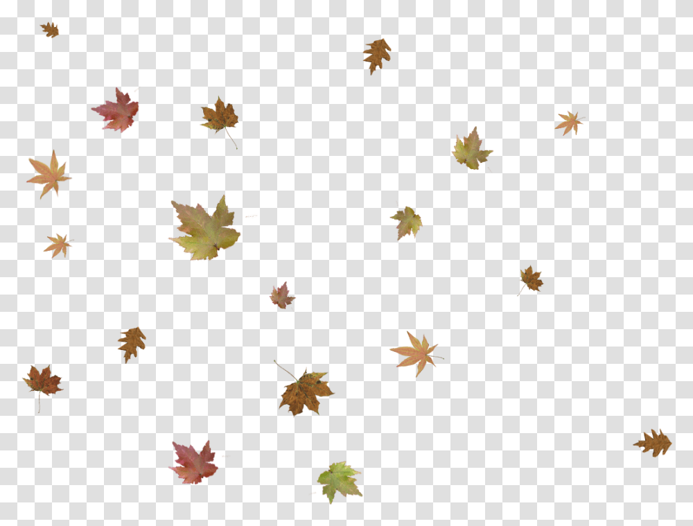 Falling Leaves Autumn Leaf Falling, Plant, Tree, Maple Leaf Transparent Png
