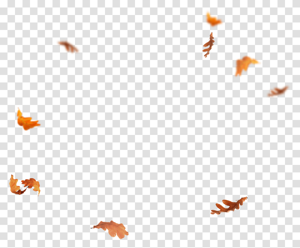 Falling Leaves Autumn Leaves Falling, Person, Human, Super Mario Transparent Png