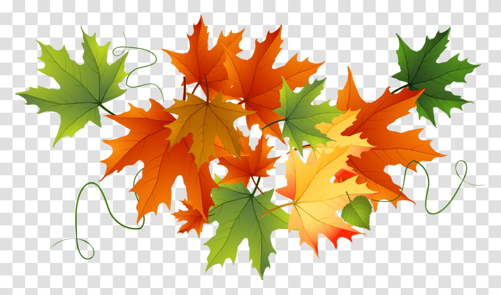 Falling Leaves Background Fall Leaves Clipart, Leaf, Plant, Tree, Maple Transparent Png