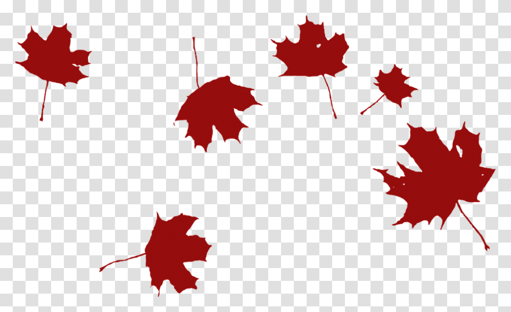 Falling Leaves Clipart Black And White, Leaf, Plant, Maple Leaf, Tree Transparent Png