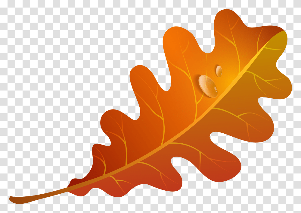 Falling Leaves Clipart Free Download Autumn Oak Leaves Clipart, Leaf, Plant, Tree, Maple Leaf Transparent Png