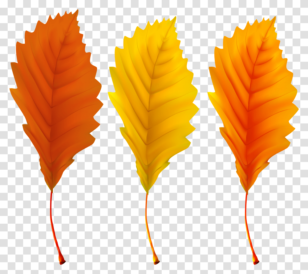 Красивые осенние листья цветные