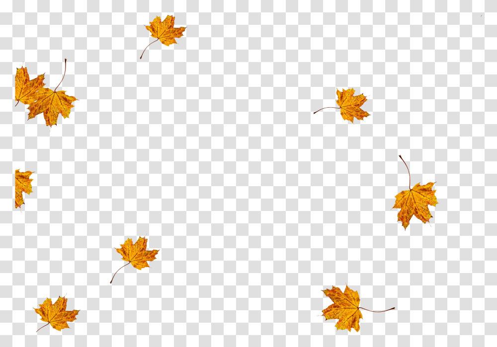 Falling Leaves For Photoshop, Leaf, Plant, Tree, Maple Transparent Png
