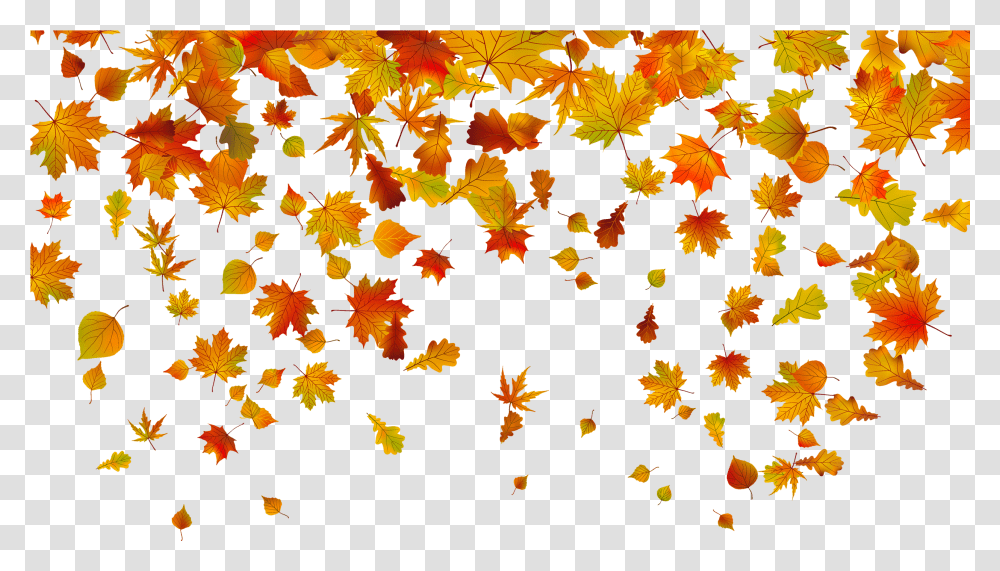 Falling Leaves No Background, Leaf, Plant, Maple Leaf, Rug Transparent Png