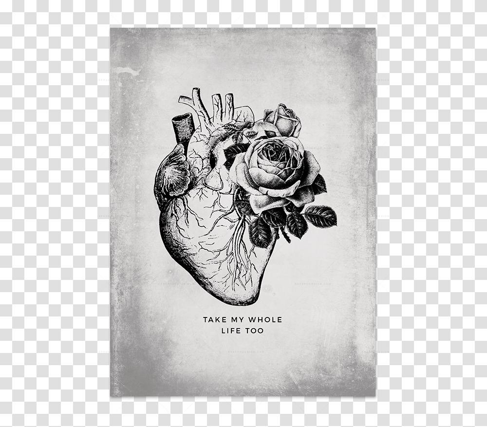 Falling Love Heartpng Anatomical In Art Prints Can T Help Falling In Love Dibujo, Drawing, Advertisement, Poster, Bird Transparent Png