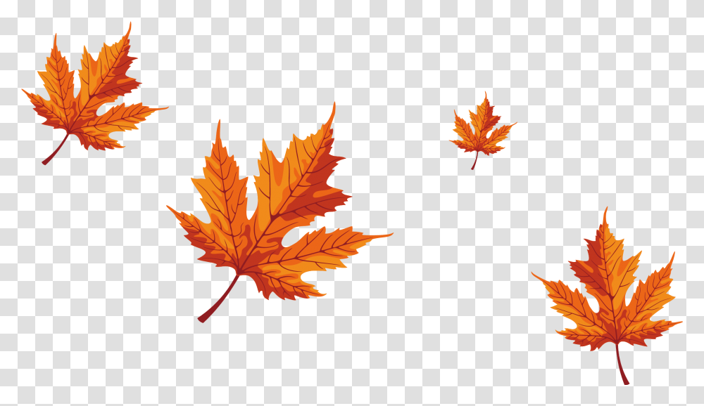 Falling Maple Leaves Download Falling Maple Tree Leaves, Leaf, Plant, Maple Leaf, Veins Transparent Png