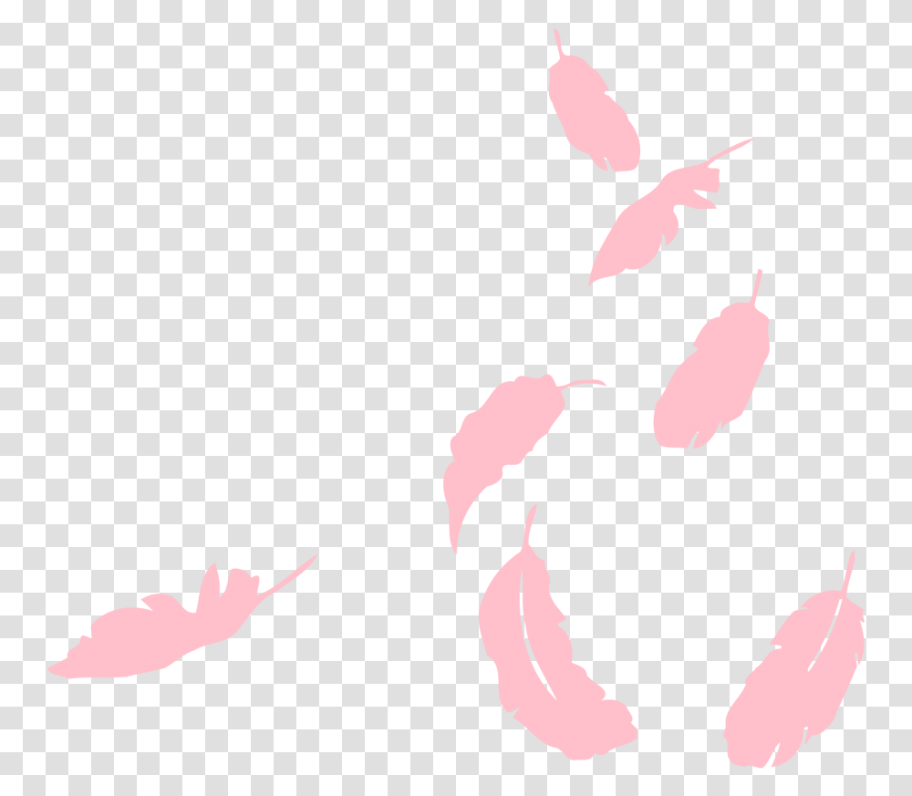 Falling Pink Feathers, Plant, Animal, Flower, Tree Transparent Png