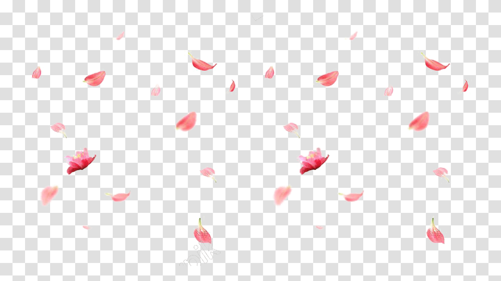 Falling Rose Petals Image Cherry Blossom Falling, Flower, Plant, Paper Transparent Png