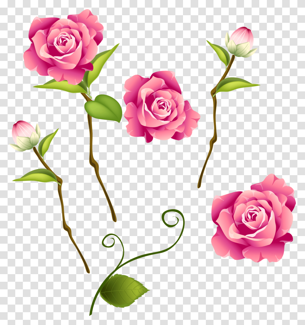 Falling Roses Blossom Rose, Flower, Plant, Floral Design, Pattern Transparent Png