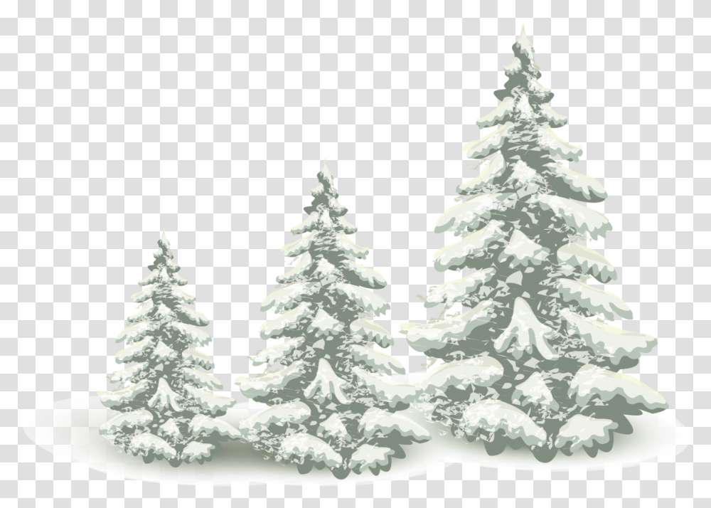 Falling Snow Pine Tree Download Falling Snow, Plant, Fir, Abies, Conifer Transparent Png