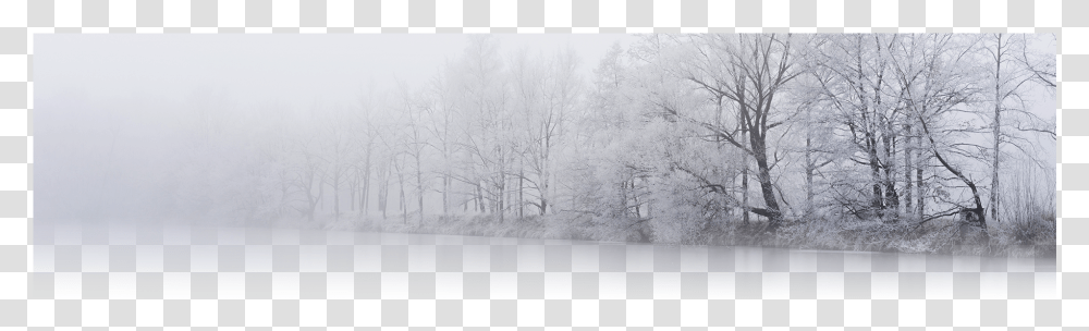 Falling Snow Snow, Nature, Outdoors, Winter, Blizzard Transparent Png