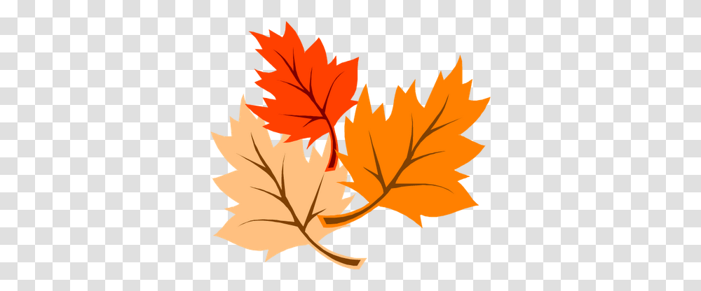 Fallleaves, Leaf, Plant, Maple Leaf, Tree Transparent Png