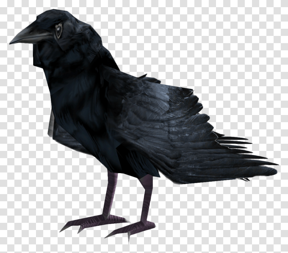 Fallout 4 Raven, Bird, Animal, Crow, Blackbird Transparent Png