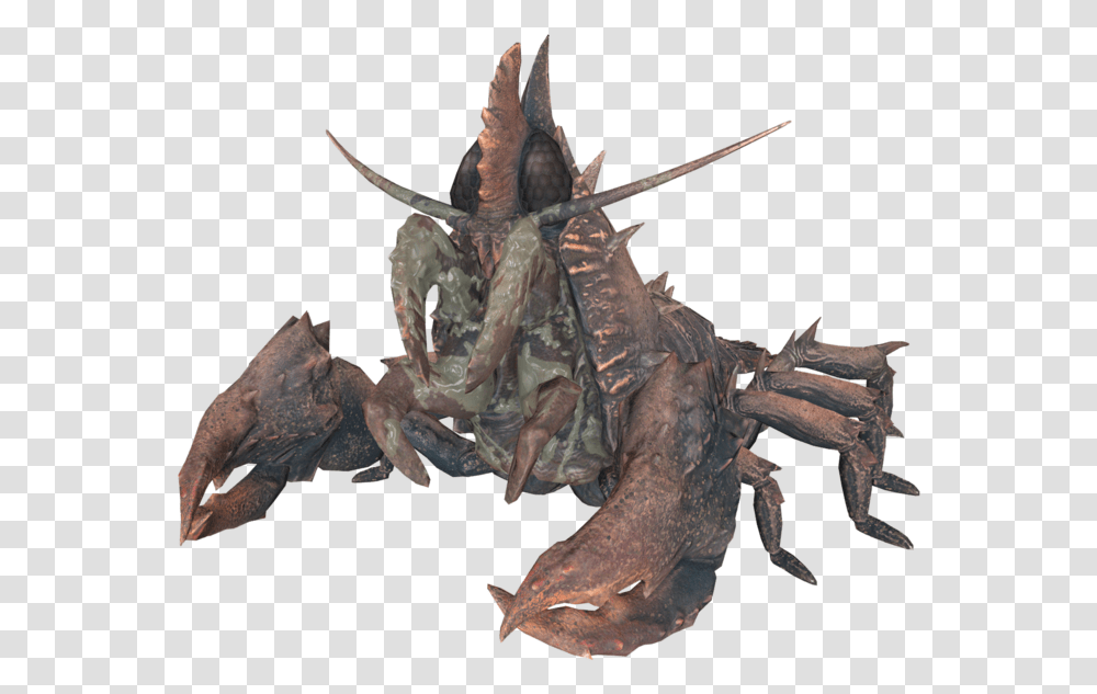 Fallout 76 Mirelurk Hunter Locations, Dragon, Insect, Invertebrate, Animal Transparent Png