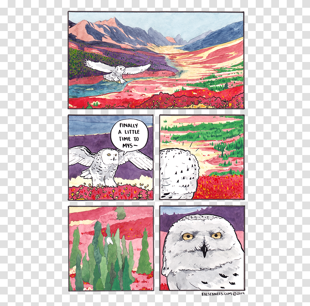 False Knees Snow Owl, Bird, Animal, Collage, Poster Transparent Png
