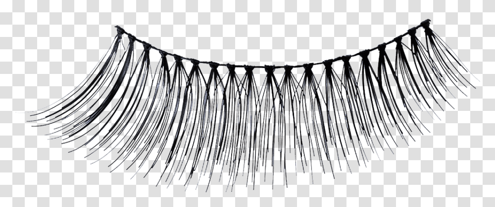 False Lashes Fake Eyelashes, Wire, Barbed Wire, Lamp Transparent Png
