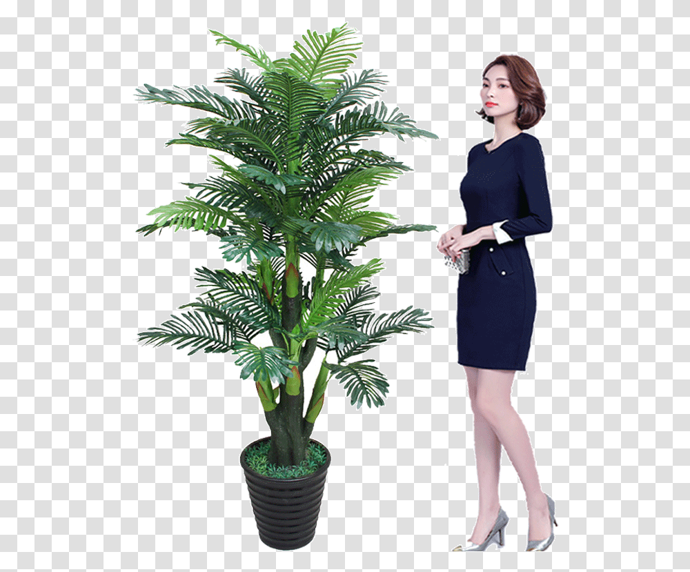 False Tree Sunflower Coconut Tree Simulation Plant Plants, Person, Female, Palm Tree Transparent Png