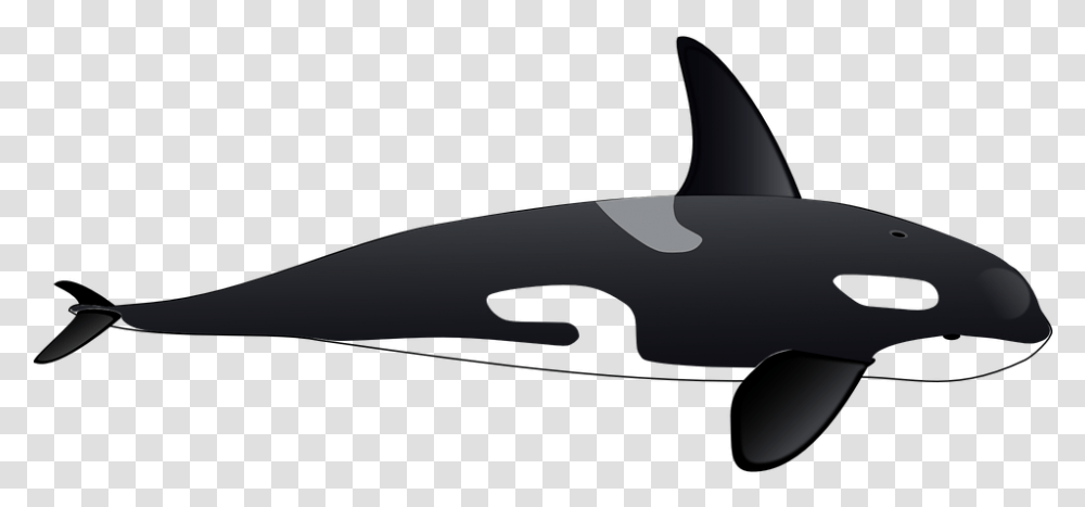 Family Clipart Whale Killer Whale Clipart, Sea Life, Animal, Mammal, Airplane Transparent Png