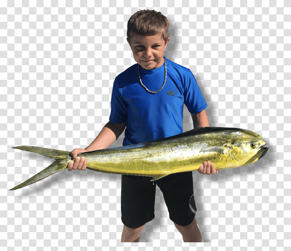 Family Friendly Fishing Charters Sauries, Person, Human, Animal, Sea Life Transparent Png