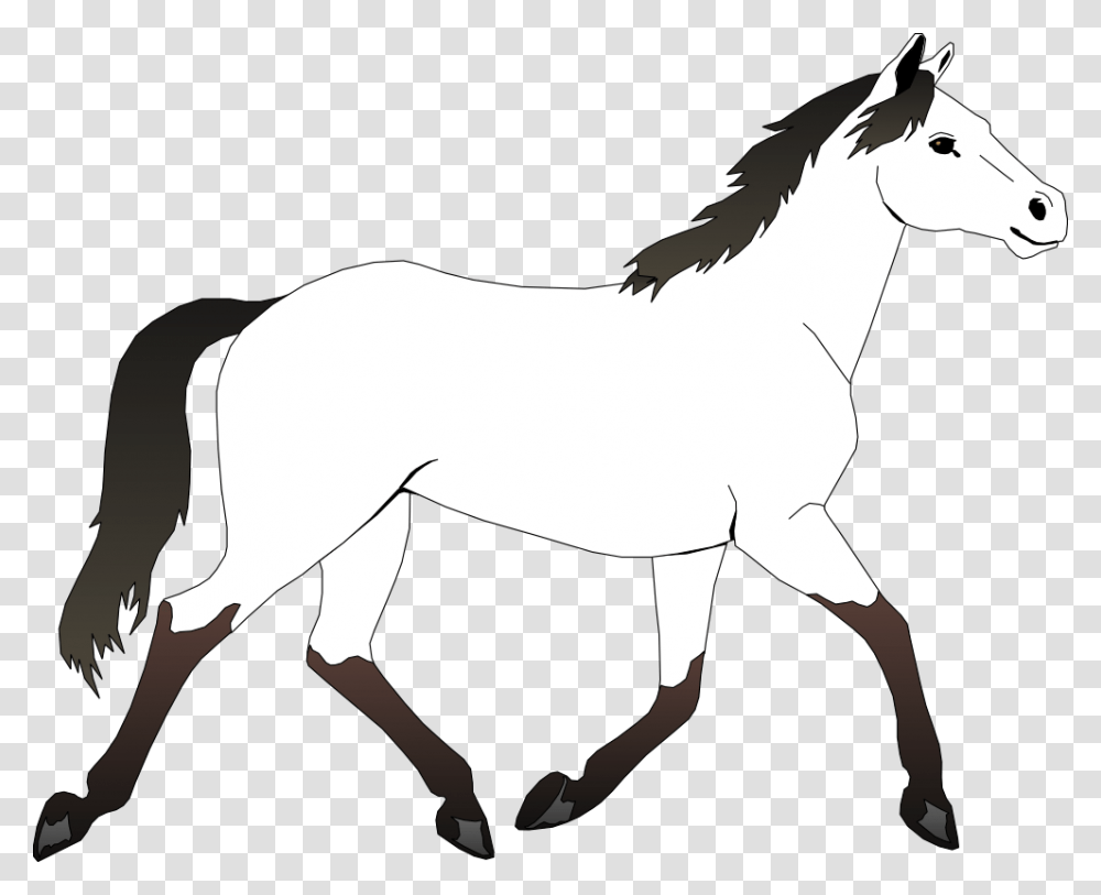Family Horse Cliparts, Colt Horse, Mammal, Animal, Foal Transparent Png