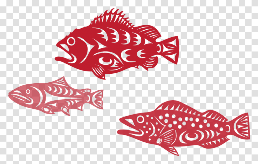 Family Membership, Fish, Animal, Perch Transparent Png