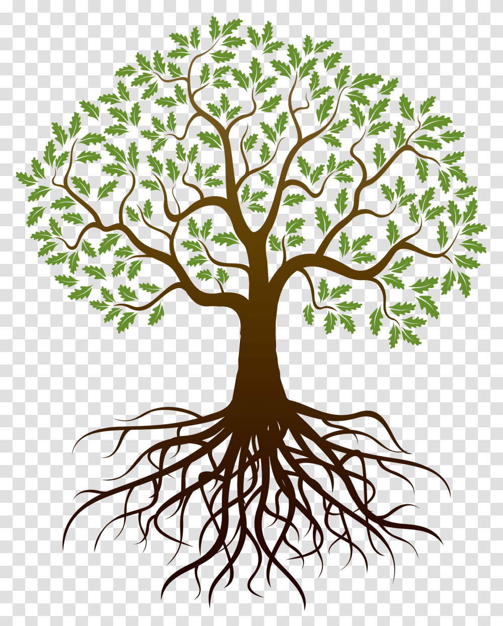 Family Reunion Tree Image, Root, Plant, Painting Transparent Png