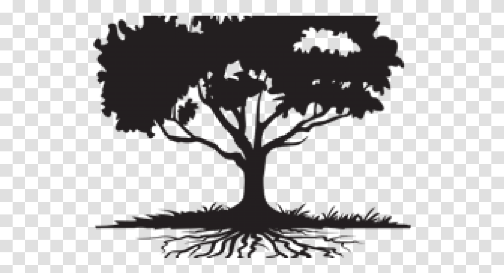 Family Reunion Tree, Plant, Root, Oak, Poster Transparent Png