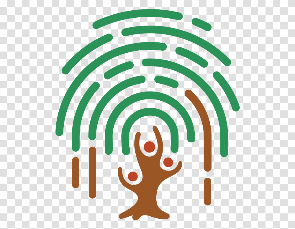 Family Tree Clinic Control De Asistencia Icono, Spiral, Doodle, Drawing Transparent Png