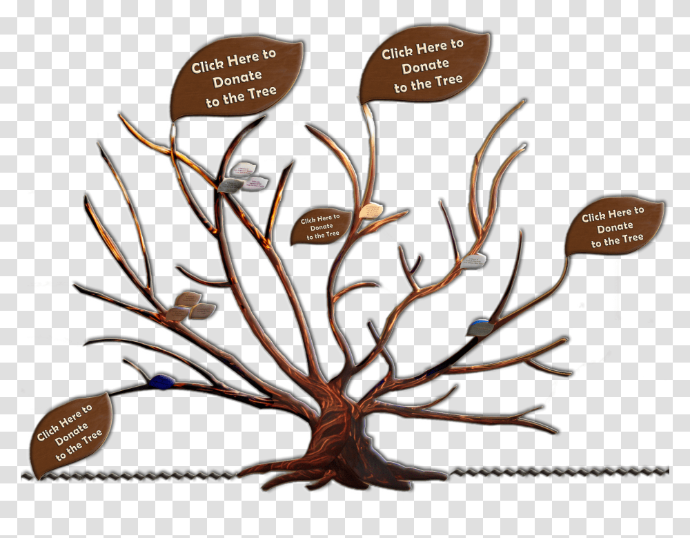 Family Tree Clipart Family Tree Of The Logan Family John Muir Family Tree Transparent Png