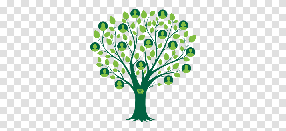 Family Tree Clipart People 40 Stunning Cliparts Family Tree Clipart, Graphics, Green, Plant, Floral Design Transparent Png