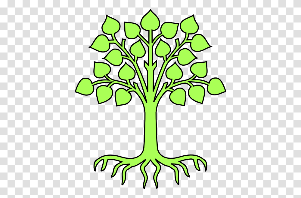 Family Tree Clipart, Plant, Root, Green, Vegetable Transparent Png