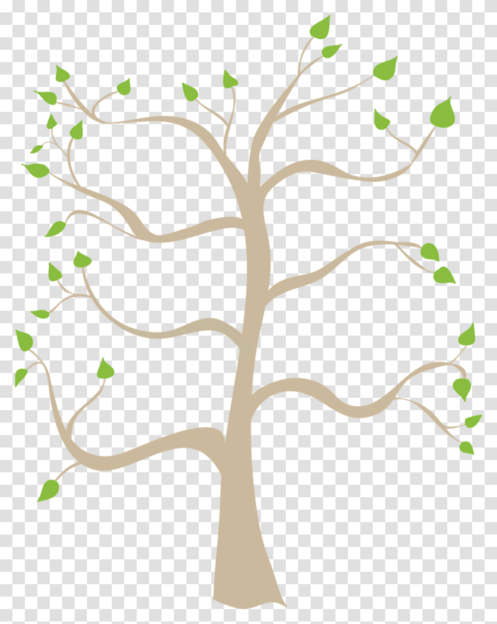 Family Tree Coloring Pages Printable Free Family Tree Family Tree Tree Background, Plant, Tree Trunk, Oak, Root Transparent Png