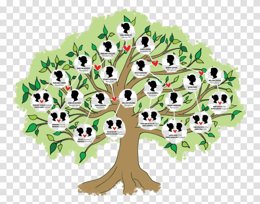 Family Tree Different Types Of Family Tree, Plant, Root, Rug Transparent Png