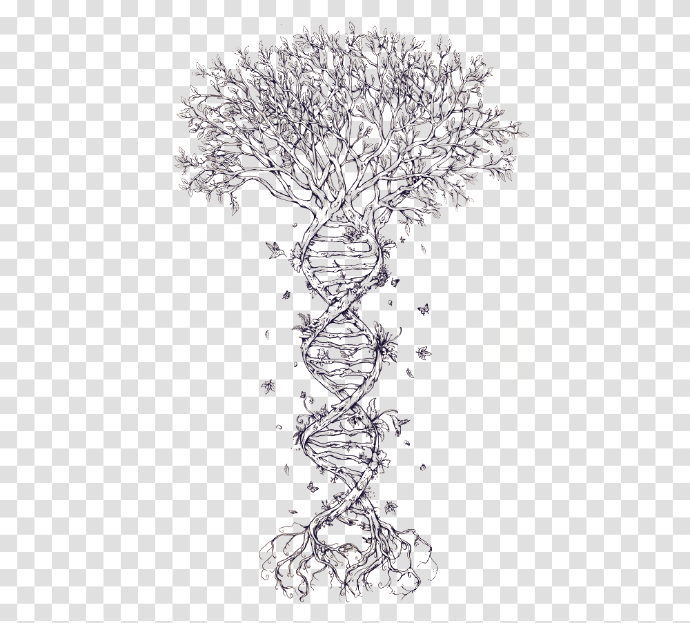 Family Tree Dna Tattoo Family Tree Dna Nucleic Acid Tree Of Life Double Helix, Snowflake, Cross, Plant Transparent Png