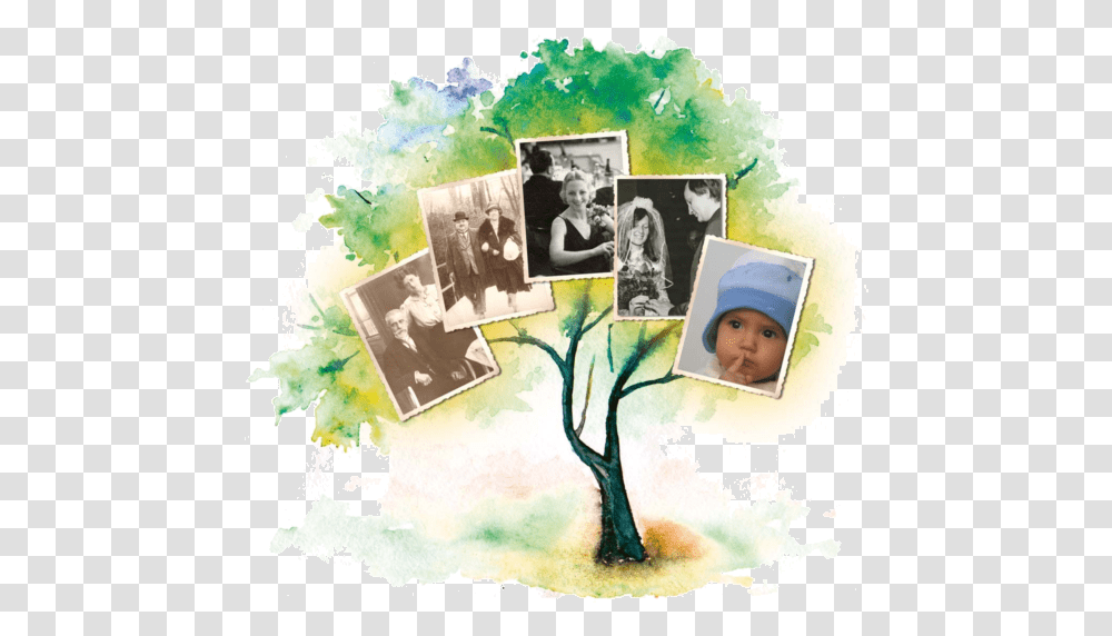 Family Tree Explorer 9 Family Tree For 9, Collage, Poster, Advertisement, Person Transparent Png