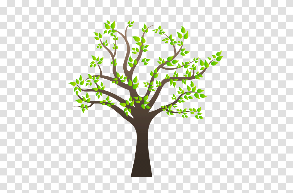 Family Tree Family Tree Clip Art, Plant, Tree Trunk, Leaf, Oak Transparent Png