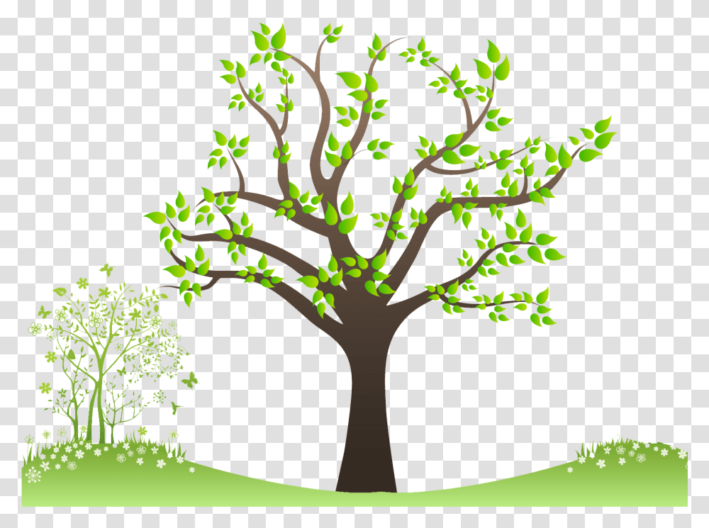 Family Tree Free Download Family Tree Images, Plant, Oak, Sycamore, Flower Transparent Png