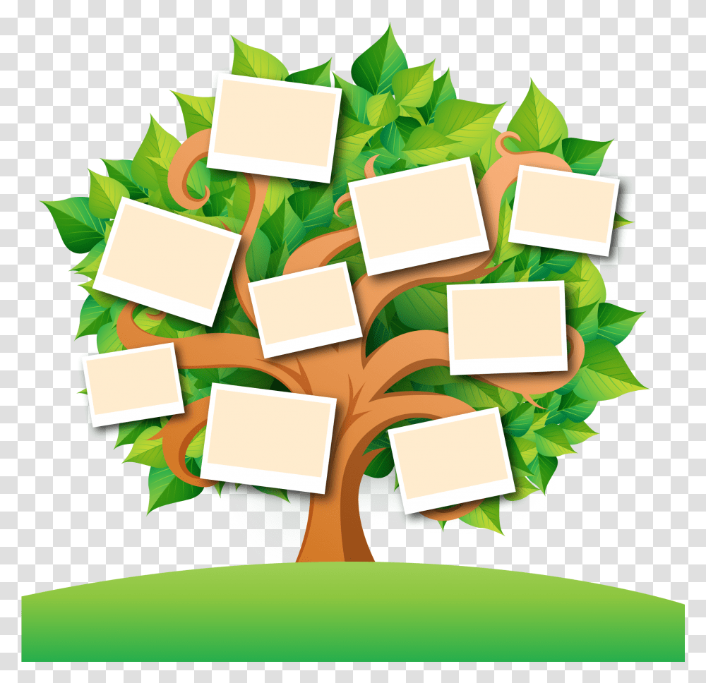 Family Tree Images Family Tree Background Tree Clipart, Green, Box, Plant Transparent Png