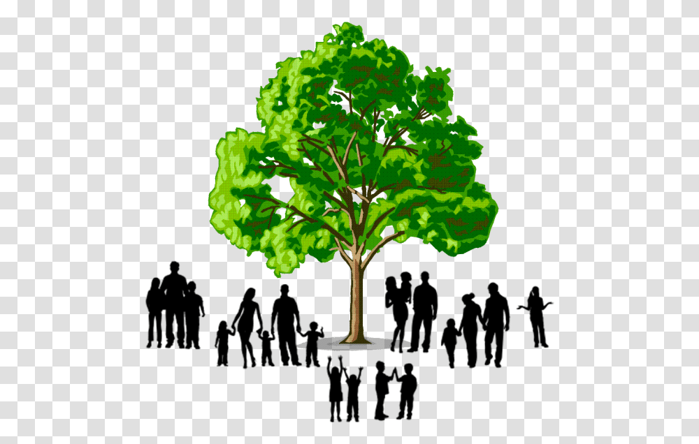Family Tree Images Family Tree Logo Hd, Plant, Leaf, Green, Bush Transparent Png